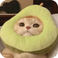 草客视频下载官方版APP应用